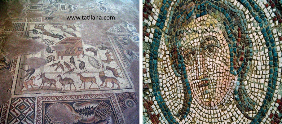 Adana Misis Mozaik Müzesi
