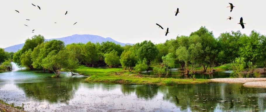 Osmaniye Kırmıtlı Kuş Cenneti